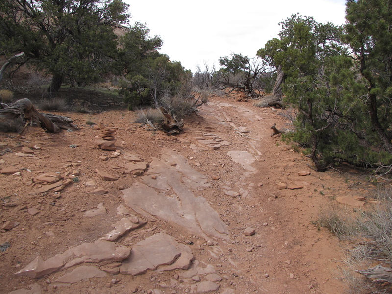 View of the trail