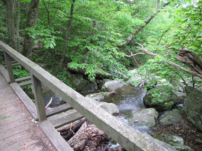 Stream from bridge