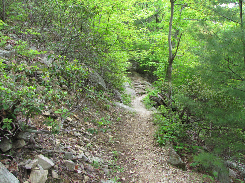 Trail ascending