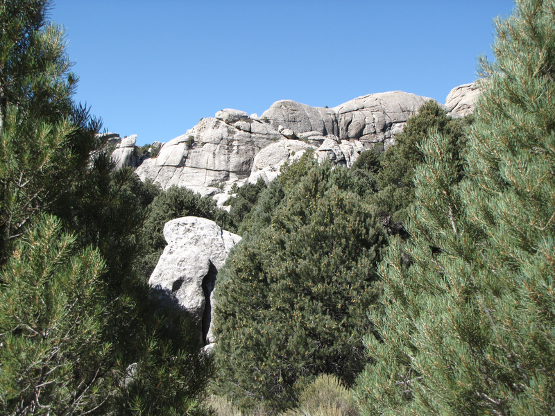 Cliffs rising out of the pines