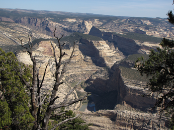 Yampa River canyon