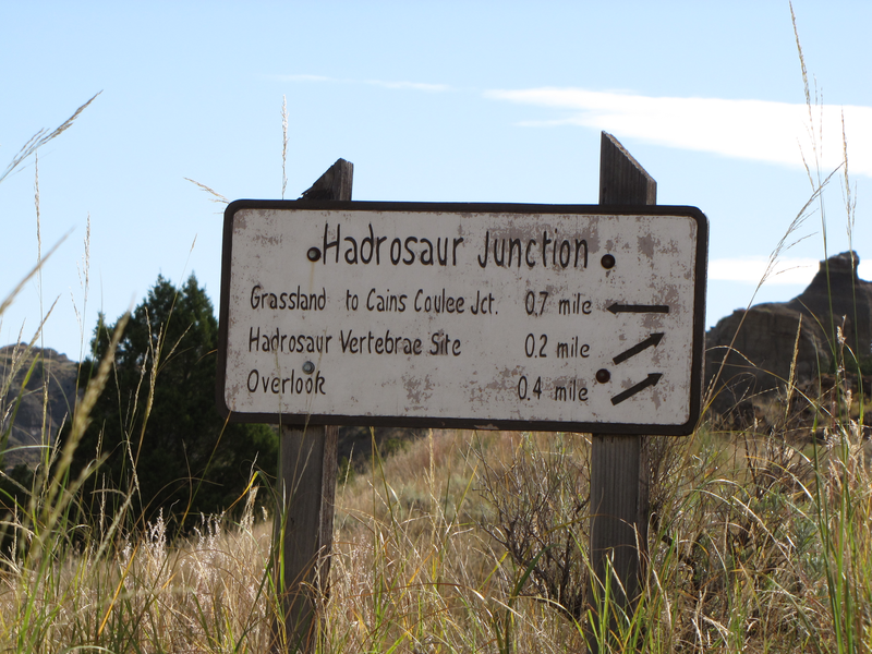 Hadrosaur Junction sign - climb to the overlook, then return here