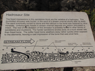 Hadrosaur Site sign