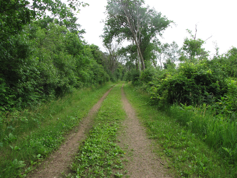 Following the state corridor trail towards the parking lot