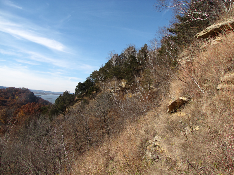 Bluff midsection