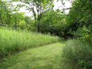 Meadow trail