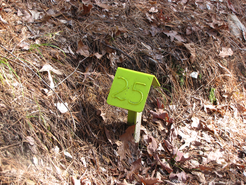 Yellow markers along trail