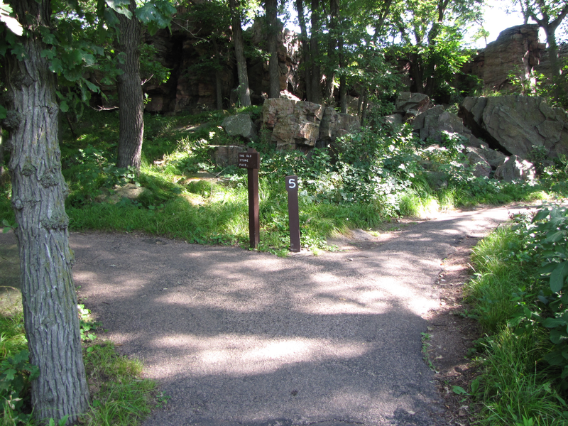 Branch - go left at '5' and 'The old stone face' signs