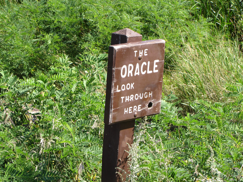 Oracle sign