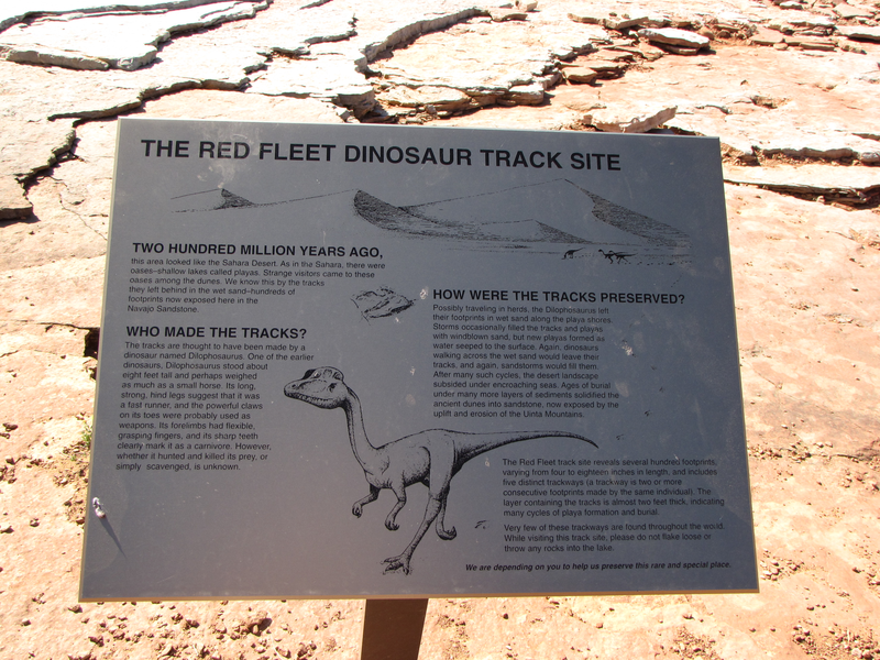 Red fleet dinosaur track sign