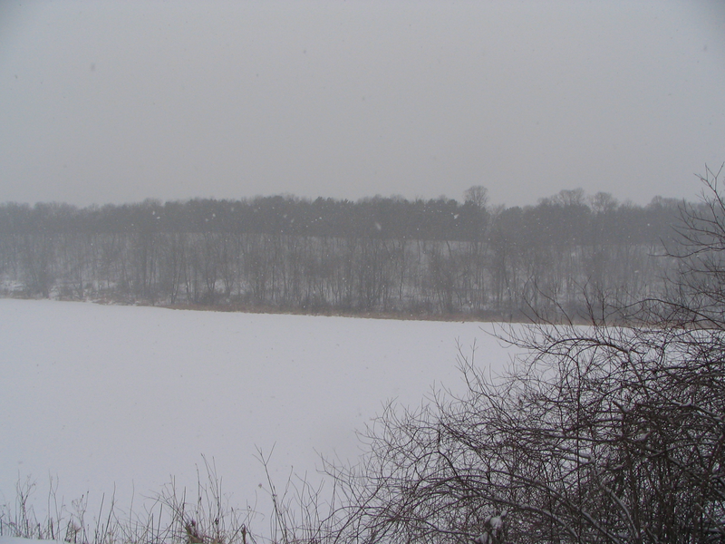 Lake Alice in a snowstorm