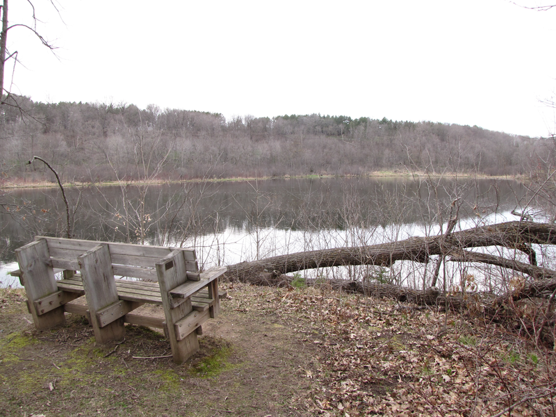 View from a bench along the trail