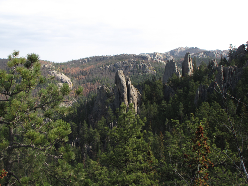 Spires above the pines